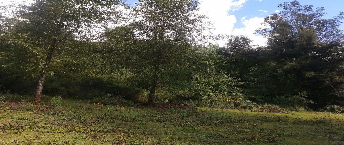 Foto de terreno habitacional en venta en  , los saúcos, valle de bravo, méxico, 27431160 No. 05