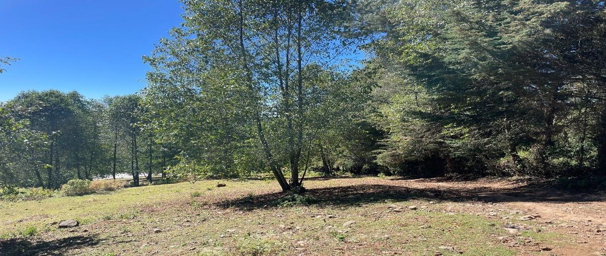 Foto de terreno habitacional en venta en  , los saúcos, valle de bravo, méxico, 27584005 No. 04