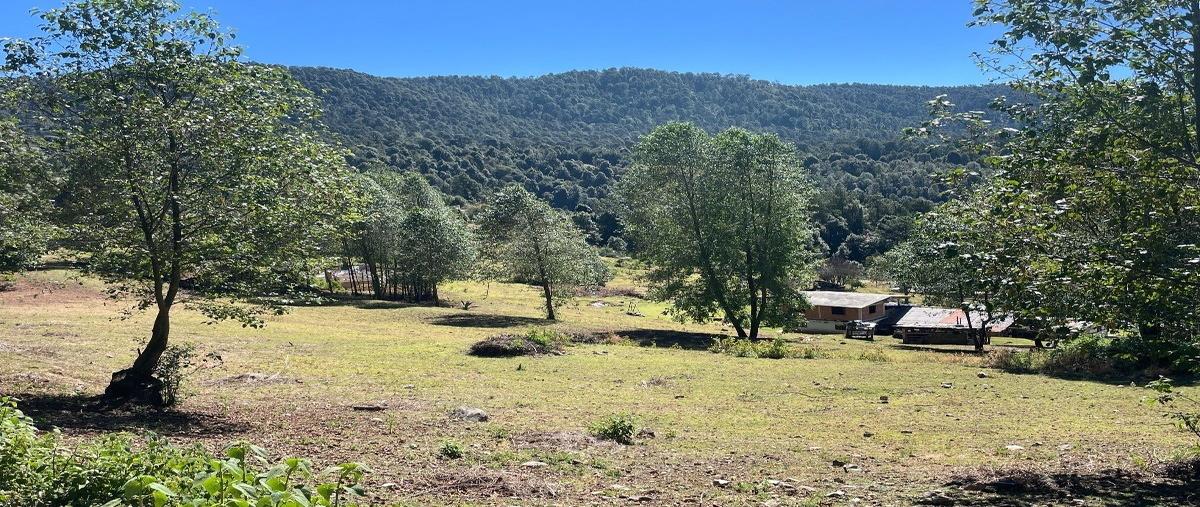 Foto de terreno habitacional en venta en  , los saúcos, valle de bravo, méxico, 27584005 No. 05