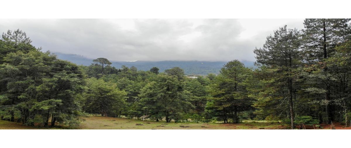 Foto de terreno habitacional en , los saúcos, valle de bravo, méxico, 0 foto 03 Foto de terreno habitacional en venta en , los saúcos, valle de bravo, méxico, 0 No. 03