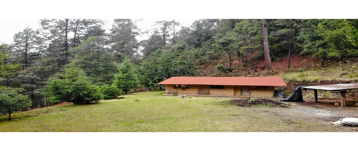 Foto de terreno habitacional en , los saúcos, valle de bravo, méxico, 0 foto 05 Foto de terreno habitacional en venta en , los saúcos, valle de bravo, méxico, 0 No. 05