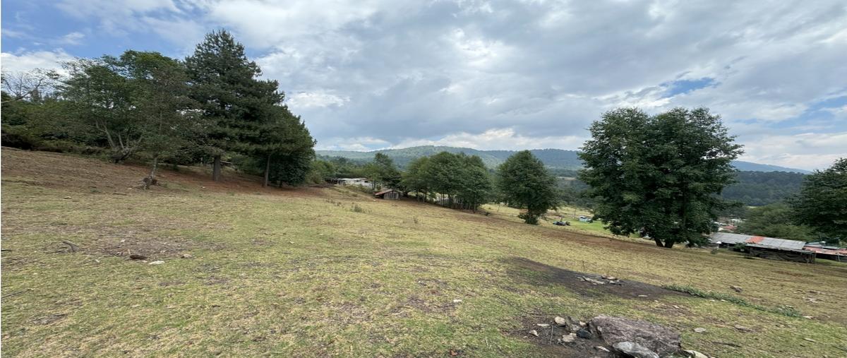 Foto de terreno habitacional en , los saúcos, valle de bravo, méxico, 0 foto 01 Foto de terreno habitacional en venta en , los saúcos, valle de bravo, méxico, 0 No. 01