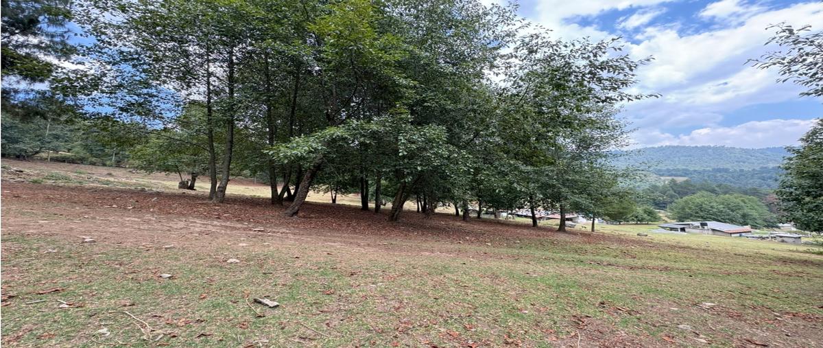 Foto de terreno habitacional en , los saúcos, valle de bravo, méxico, 28211044 foto 05 Foto de terreno habitacional en venta en , los saúcos, valle de bravo, méxico, 28211044 No. 05
