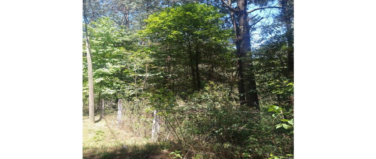 Foto de rancho en , los saúcos, valle de bravo, méxico, 0 foto 04 Foto de rancho en venta en , los saúcos, valle de bravo, méxico, 0 No. 04