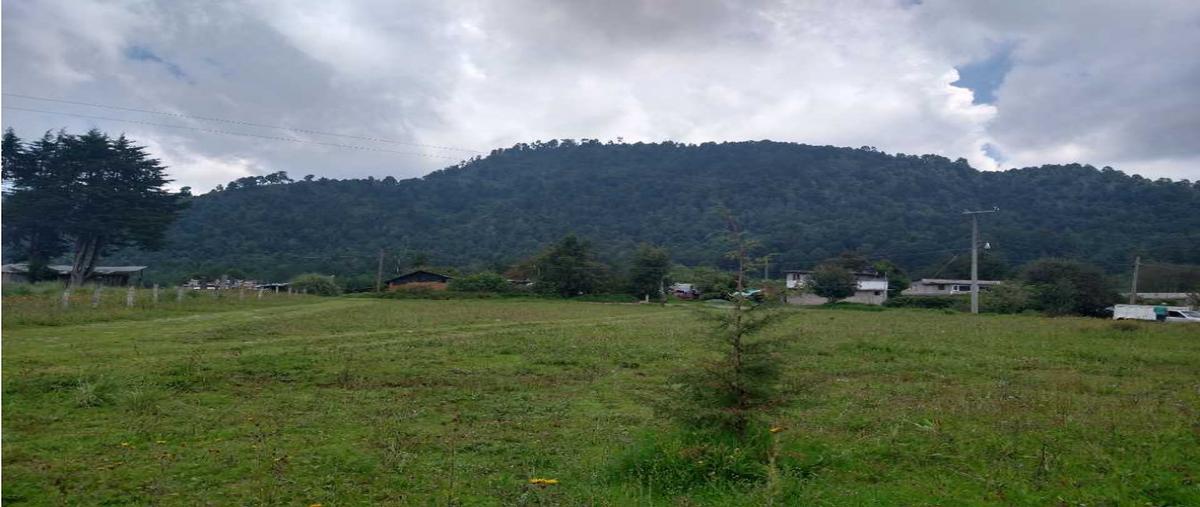 Foto de terreno habitacional en , los saúcos, valle de bravo, méxico, 0 foto 02 Foto de terreno habitacional en venta en , los saúcos, valle de bravo, méxico, 0 No. 02