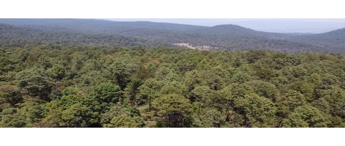 Foto de terreno habitacional en venta en  , los saúcos, valle de bravo, méxico, 0 No. 03