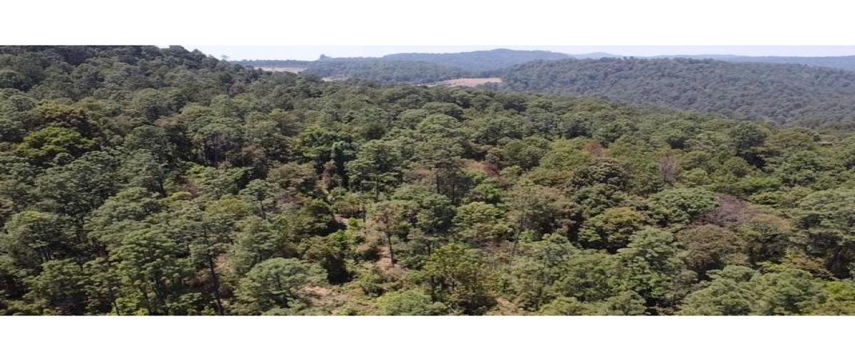 Foto de terreno habitacional en venta en  , los saúcos, valle de bravo, méxico, 0 No. 04