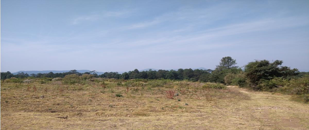 Foto de rancho en venta en  , los saúcos, valle de bravo, méxico, 0 No. 03
