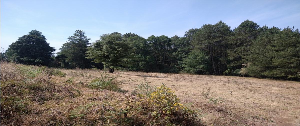 Foto de rancho en venta en  , los saúcos, valle de bravo, méxico, 0 No. 05