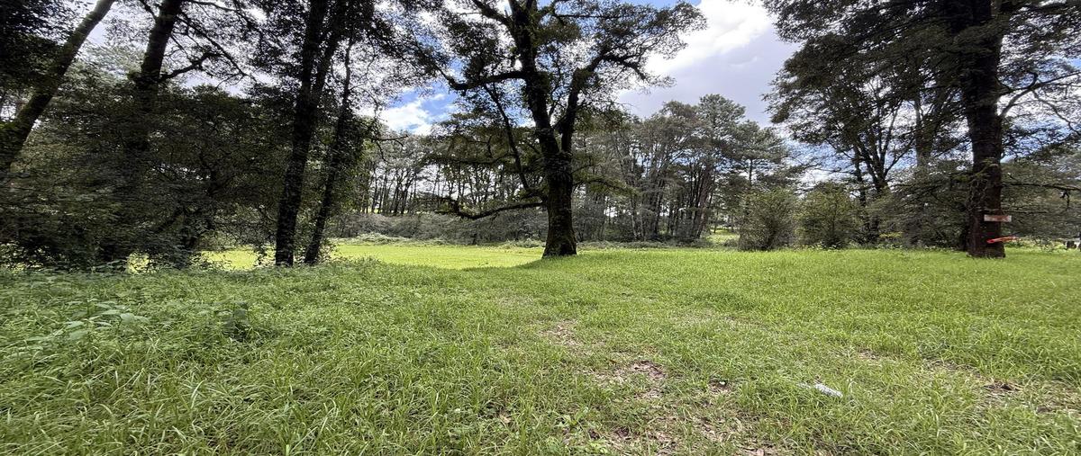 Foto de terreno habitacional en venta en  , los saúcos, valle de bravo, méxico, 0 No. 03