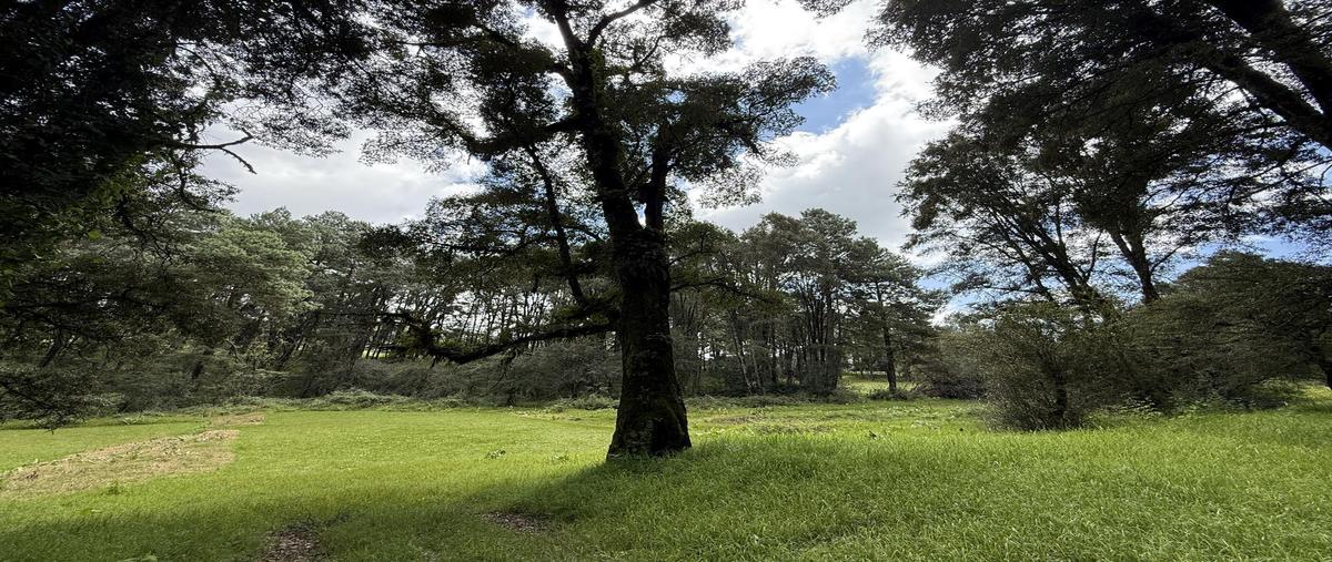 Foto de terreno habitacional en venta en  , los saúcos, valle de bravo, méxico, 0 No. 04