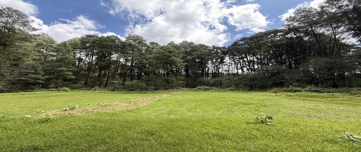 Foto de terreno habitacional en venta en  , los saúcos, valle de bravo, méxico, 0 No. 05