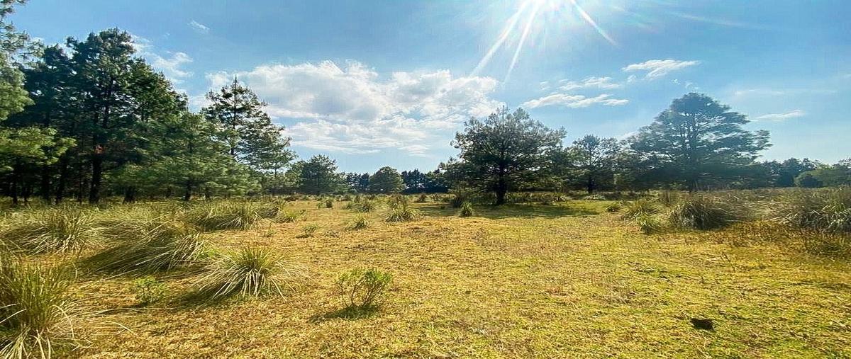 Foto de terreno habitacional en los saúcos-camino a jesús del monte , los saúcos, valle de bravo, méxico, 24781392 foto 02 Foto de terreno habitacional en venta en los saúcos-camino a jesús del monte , los saúcos, valle de bravo, méxico, 24781392 No. 02