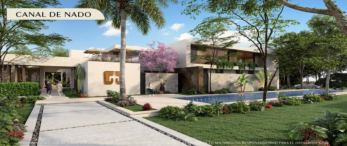 Foto de terreno habitacional en , los tamarindos, mérida, yucatán, 29553305 foto 04 Foto de terreno habitacional en venta en , los tamarindos, mérida, yucatán, 29553305 No. 04