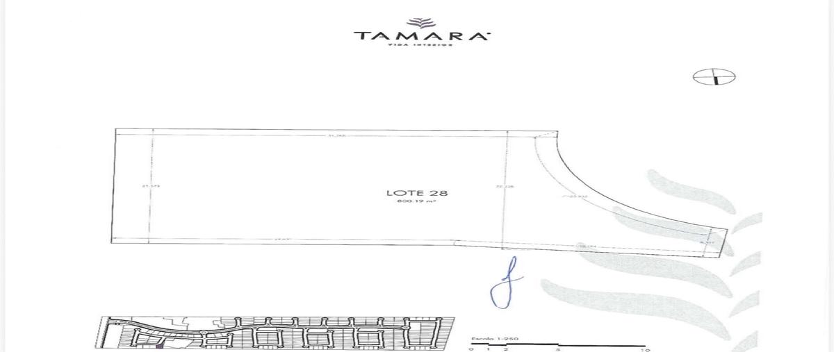 Foto de terreno habitacional en venta en  , los tamarindos, mérida, yucatán, 0 No. 04