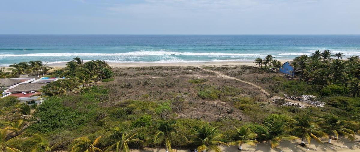 Foto de terreno habitacional en venta en  , los tamarindos, santa maría colotepec, oaxaca, 0 No. 05