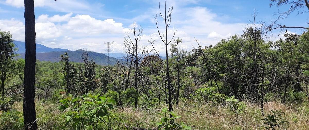 Foto de terreno habitacional en venta en  , los timbres, temascaltepec, méxico, 26873579 No. 04