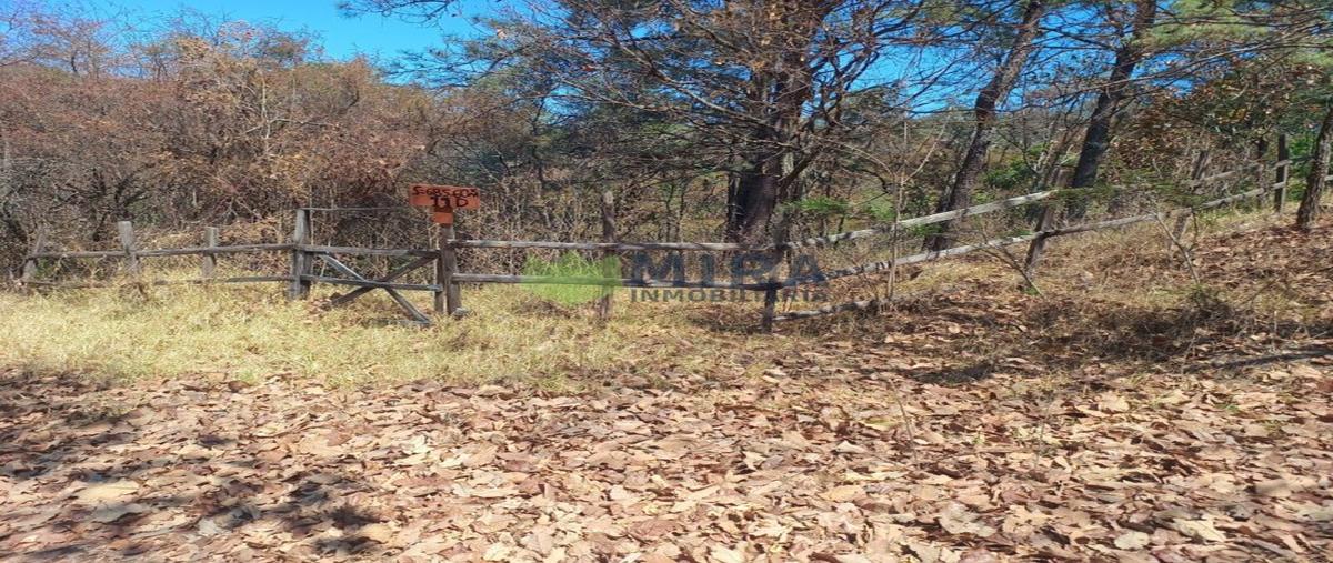 Foto de terreno habitacional en venta en  , los triguillos, charo, michoacán de ocampo, 0 No. 04
