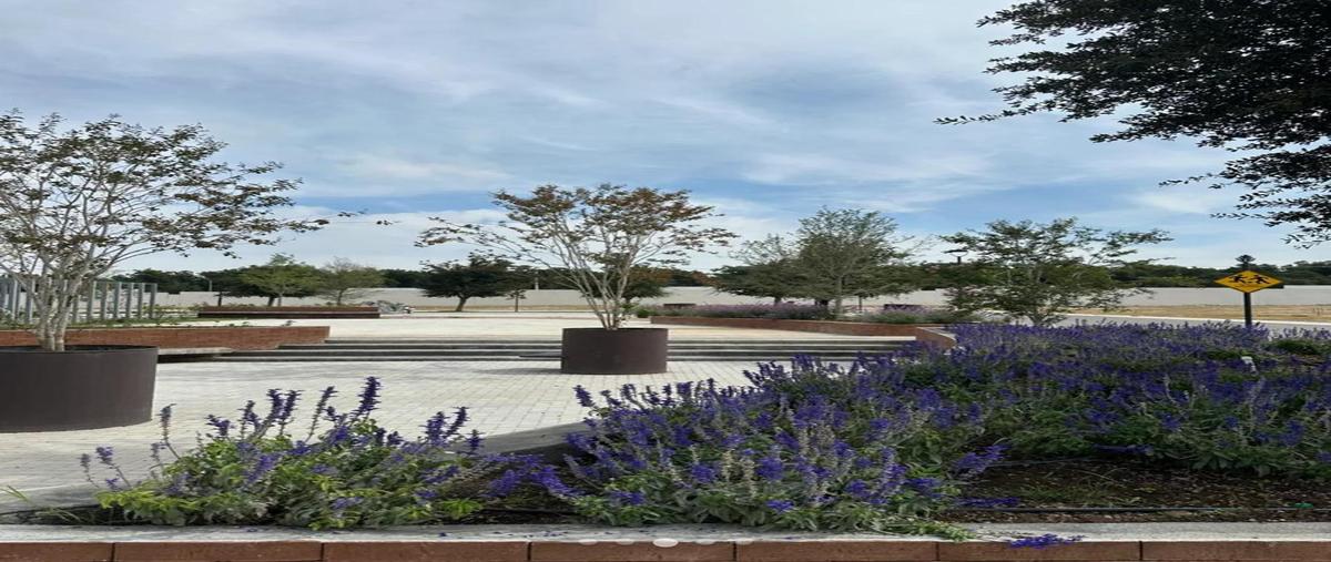 Foto de terreno habitacional en venta en  , los valdez, saltillo, coahuila de zaragoza, 30425890 No. 03
