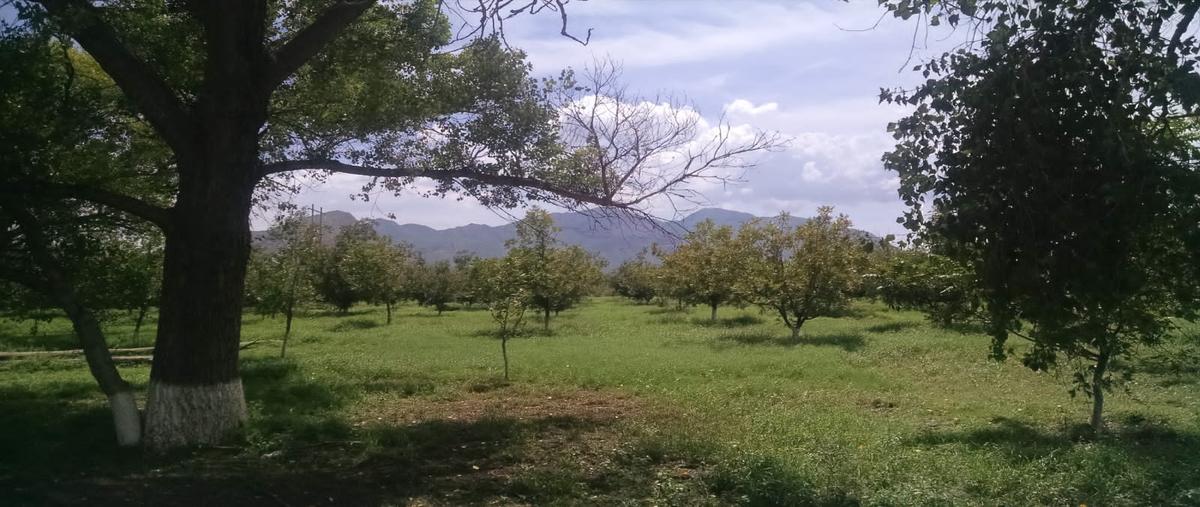 Foto de casa en venta en  , los viñedos, torreón, coahuila de zaragoza, 26544627 No. 03