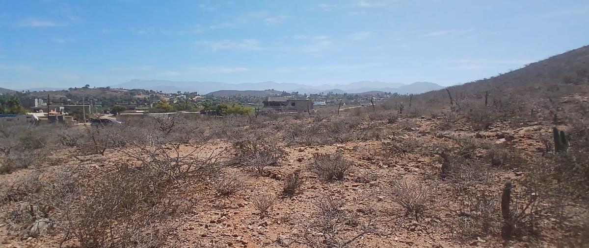 Foto de terreno habitacional en los zarapes , el pescadero, la paz, baja california sur, 31510497 foto 05 Foto de terreno habitacional en venta en los zarapes , el pescadero, la paz, baja california sur, 31510497 No. 05