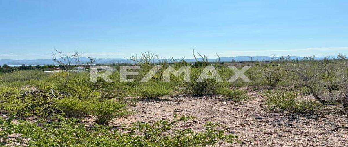 Foto de terreno habitacional en lot 46 calle 14, lote vista sol, el centenario , el centenario, la paz, baja california sur, 0 foto 05 Foto de terreno habitacional en venta en lot 46 calle 14, lote vista sol, el centenario , el centenario, la paz, baja california sur, 0 No. 05