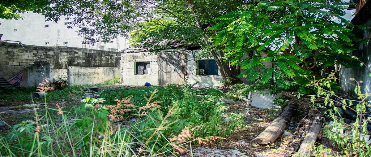 Foto de terreno habitacional en venta en lote 002ubicado en la avenida 10n lote 002entre calle 50 nortecalle 52 norte manzana 277 , luis donaldo colosio, bacalar, quintana roo, 0 No. 05