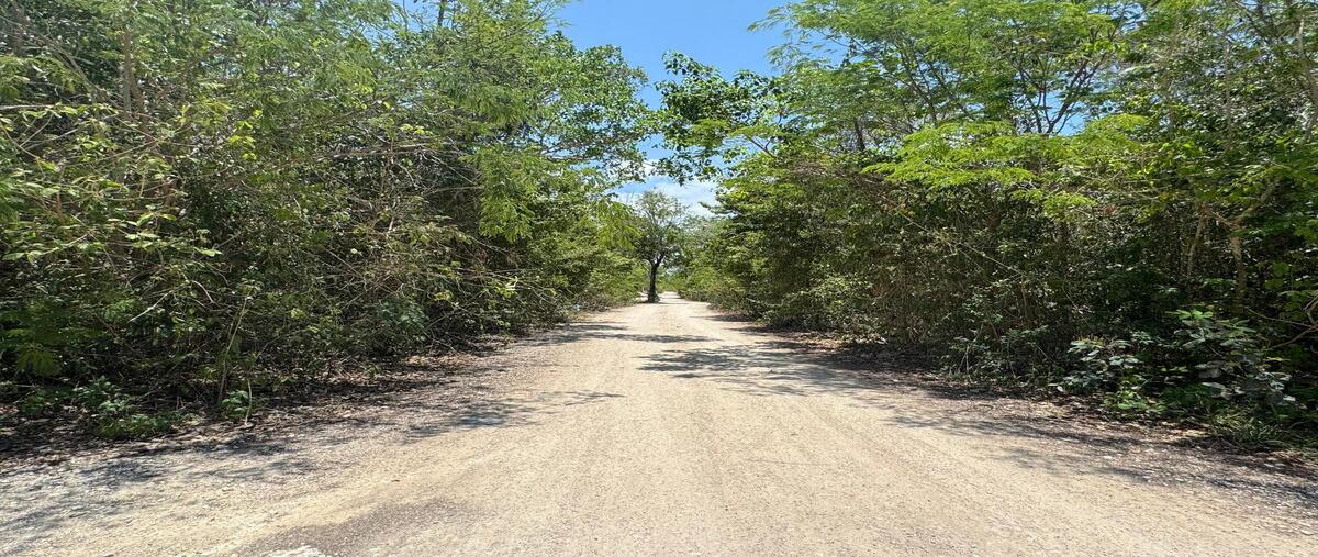 Foto de terreno habitacional en venta en lote 011 manzana 263 , region 15 kukulcan, tulum, quintana roo, 29954340 No. 03