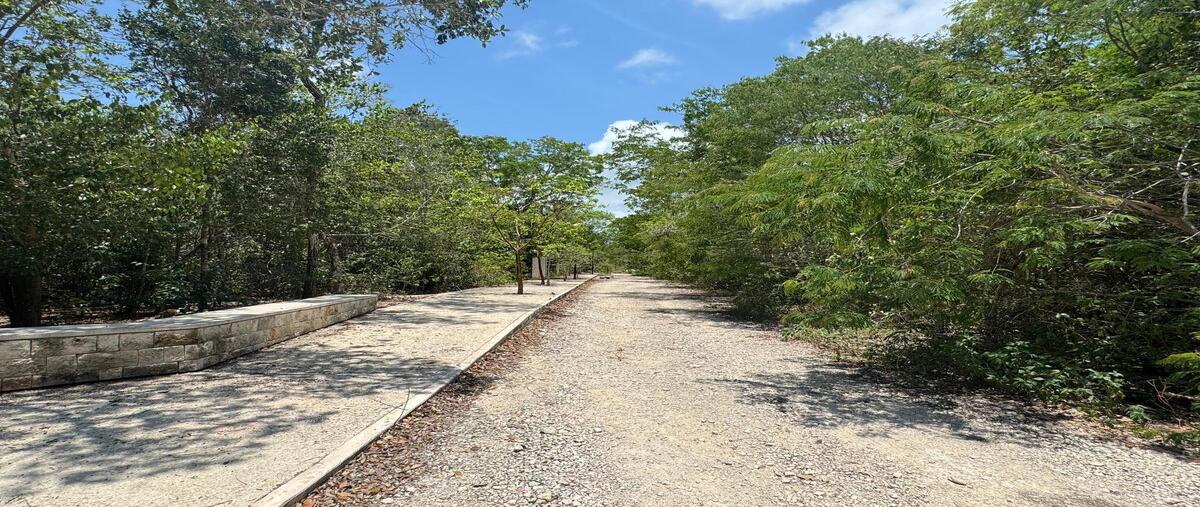 Foto de terreno habitacional en venta en lote 011 manzana 263 , region 15 kukulcan, tulum, quintana roo, 29954340 No. 05