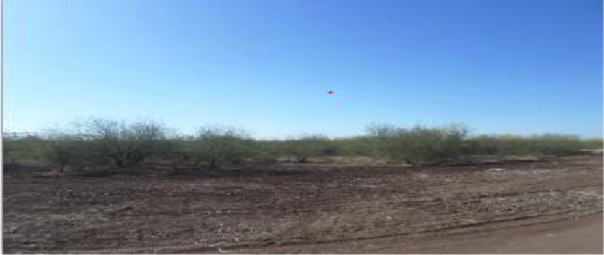 Foto de terreno industrial en lote 1 , parque industrial, navojoa, sonora, 0 foto 02 Foto de terreno industrial en venta en lote 1 , parque industrial, navojoa, sonora, 0 No. 02