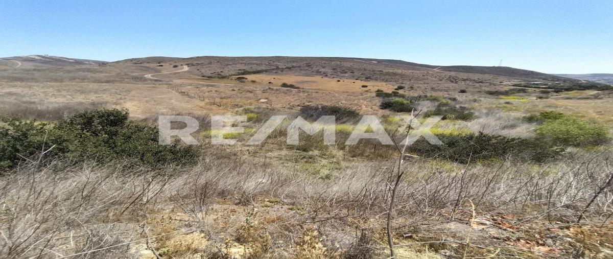 Foto de terreno habitacional en venta en lote 10 de la manzana 3 , el sauzal, ensenada, baja california, 30137690 No. 04