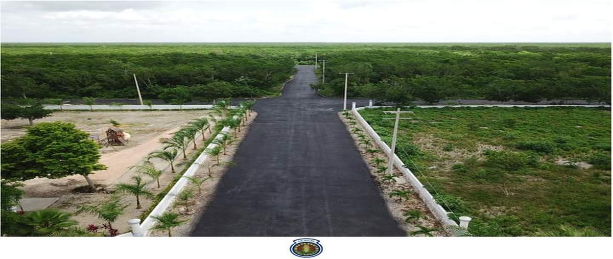 Foto de terreno habitacional en venta en lote 10, la milpa , leona vicario, puerto morelos, quintana roo, 29764582 No. 03