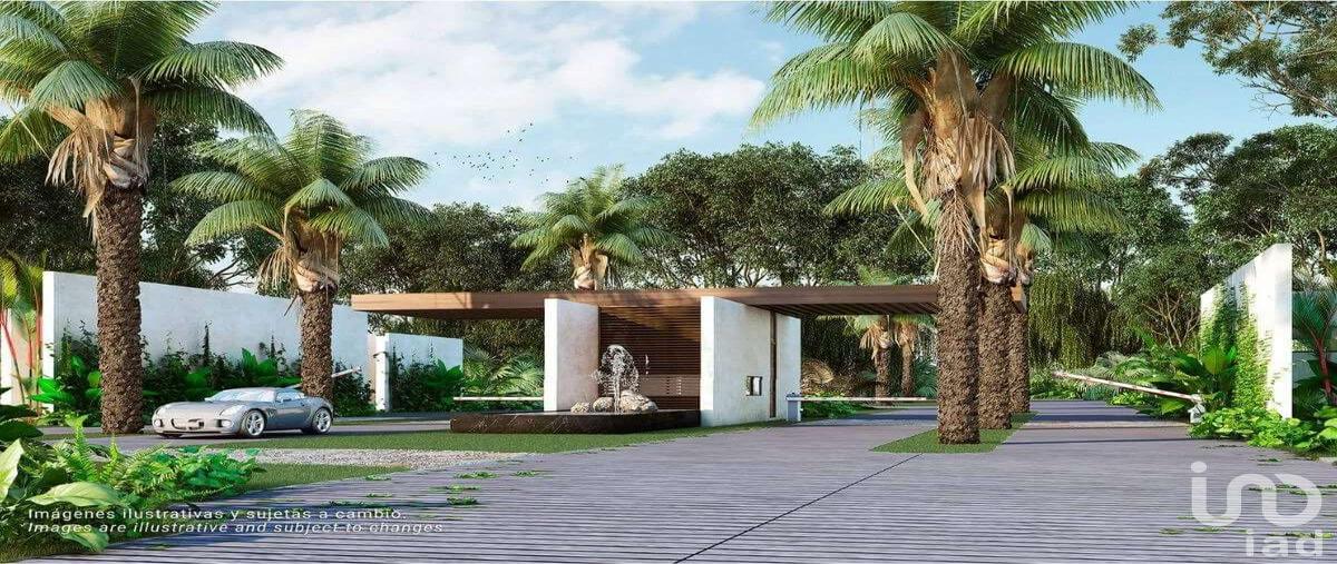 Foto de terreno habitacional en venta en lote 106, xpu ha, solidaridad, quintana roo, 29773925 No. 04