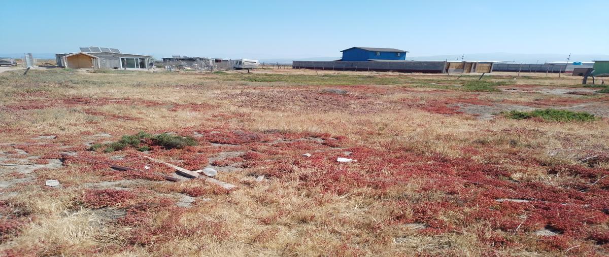 Foto de terreno habitacional en venta en lote 11, manzana 2 dentro de la parcela numero 317 z-3 p-1 , maneadero, ensenada, baja california, 26732092 No. 03