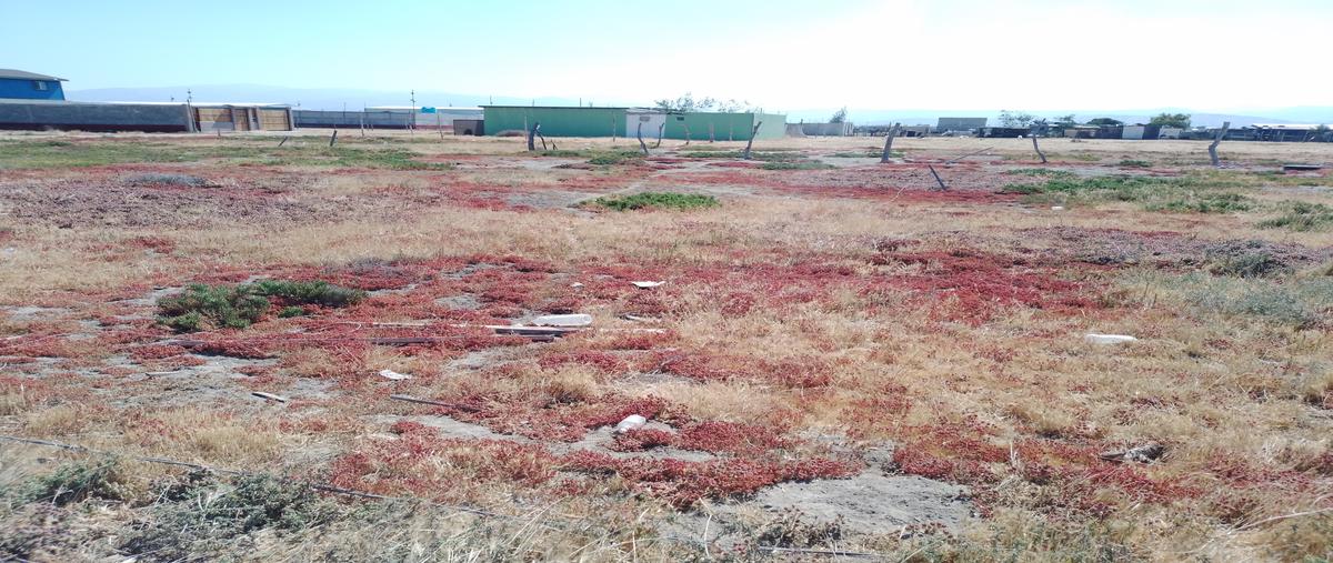 Foto de terreno habitacional en venta en lote 11, manzana 2 dentro de la parcela numero 317 z-3 p-1 , maneadero, ensenada, baja california, 26732092 No. 04
