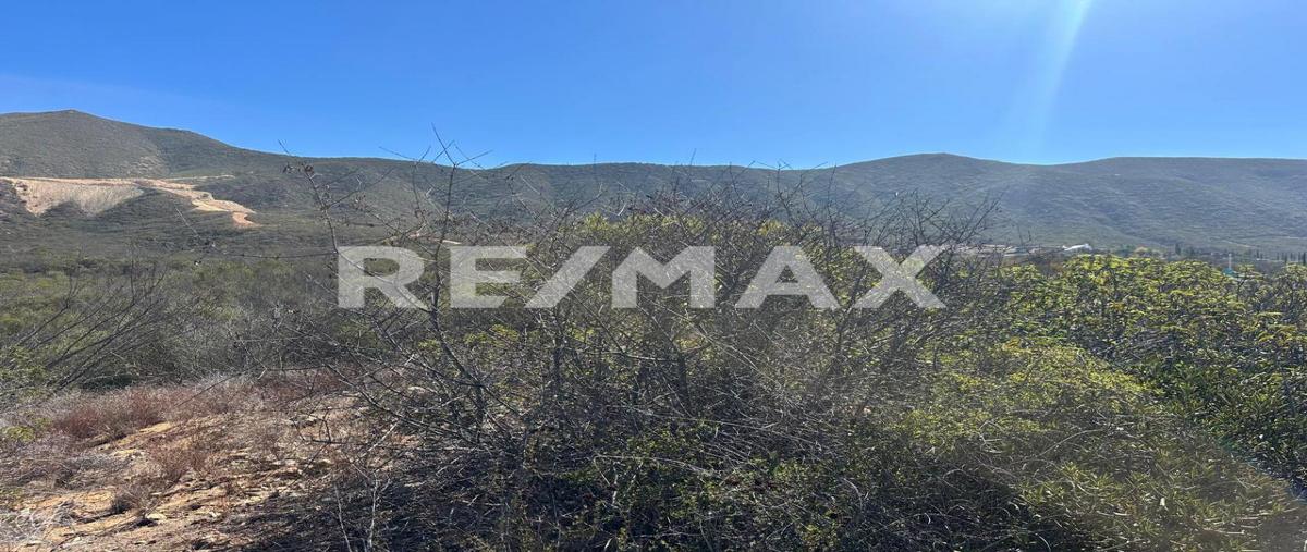 Foto de terreno habitacional en venta en lote 12 de la manzana 8 , san antonio de las minas, ensenada, baja california, 0 No. 03