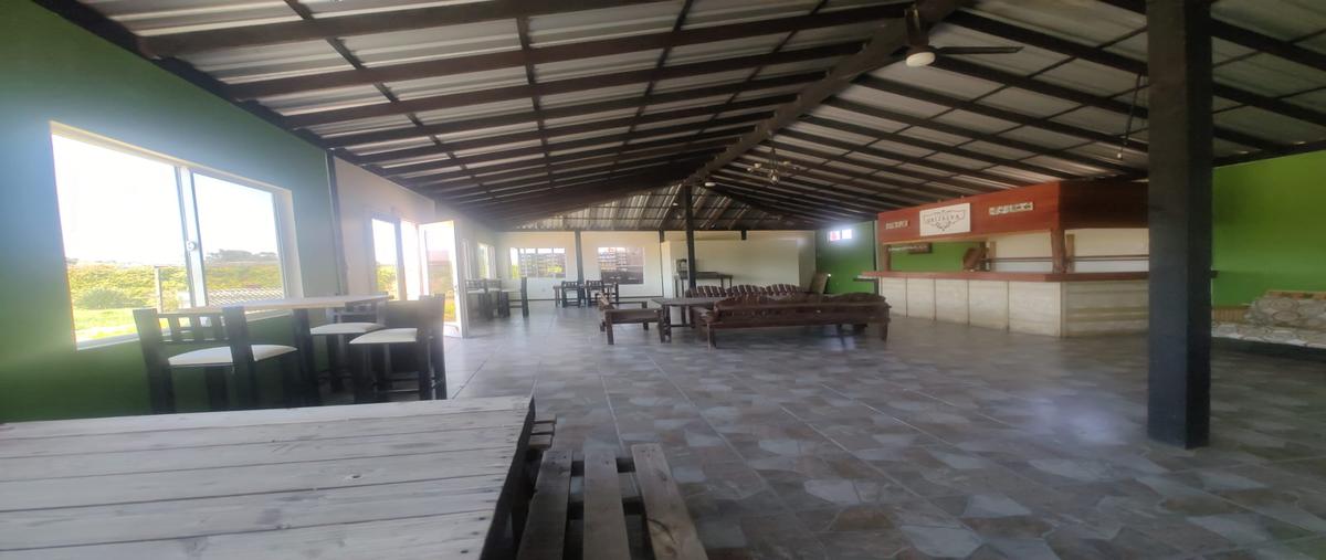 Foto de local en renta en lote 13 bis y 13 predio san marcos de la manzana sm , francisco zarco (valle de guadalupe), ensenada, baja california, 28093777 No. 03