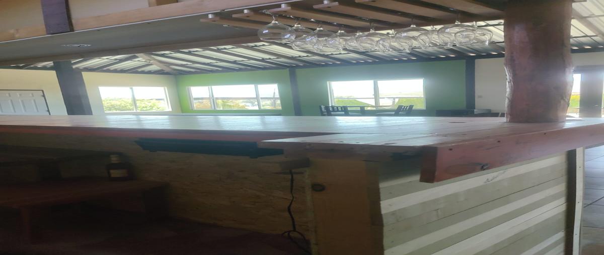 Foto de local en renta en lote 13 bis y 13 predio san marcos de la manzana sm , francisco zarco (valle de guadalupe), ensenada, baja california, 28093777 No. 05