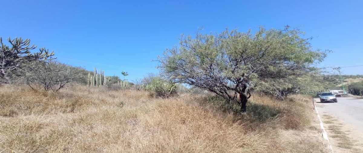 Foto de terreno habitacional en venta en lote 21 manzana 22 , yextho chico, tecozautla, hidalgo, 13716659 No. 07