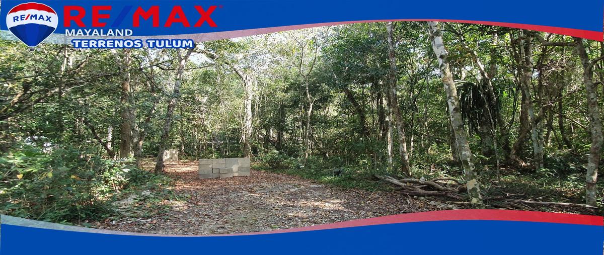 Foto de terreno habitacional en venta en lote 22 , macario gómez, tulum, quintana roo, 28172918 No. 03