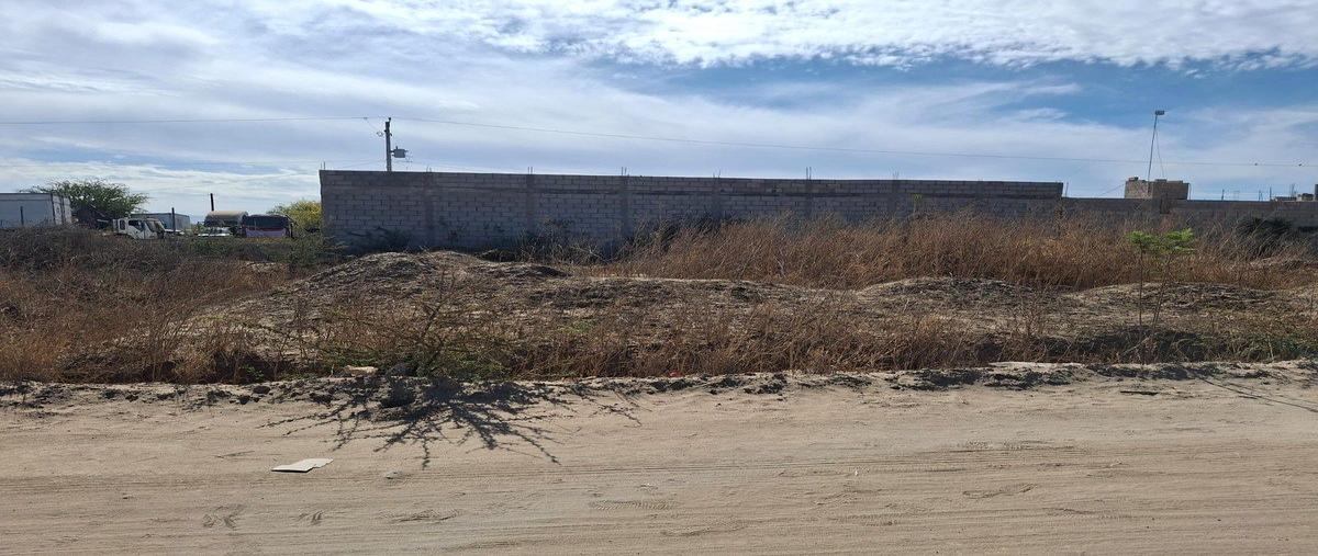Foto de terreno habitacional en lote 28 manzana 242 , valle dorado, la paz, baja california sur, 0 foto 02 Foto de terreno habitacional en venta en lote 28 manzana 242 , valle dorado, la paz, baja california sur, 0 No. 02