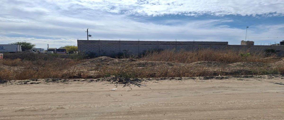 Foto de terreno habitacional en lote 28 manzana 242 , valle dorado, la paz, baja california sur, 0 foto 03 Foto de terreno habitacional en venta en lote 28 manzana 242 , valle dorado, la paz, baja california sur, 0 No. 03