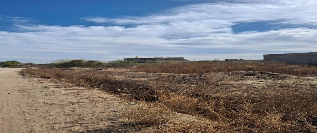 Foto de terreno habitacional en lote 28 manzana 242 , valle dorado, la paz, baja california sur, 0 foto 05 Foto de terreno habitacional en venta en lote 28 manzana 242 , valle dorado, la paz, baja california sur, 0 No. 05