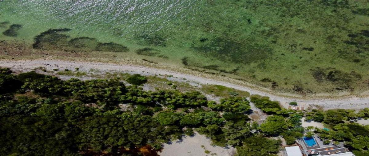 Foto de terreno habitacional en lote 2fracc 2tankah iv , tankah cuatro, tulum, quintana roo, 28608603 foto 03 Foto de terreno habitacional en venta en lote 2fracc 2tankah iv , tankah cuatro, tulum, quintana roo, 28608603 No. 03