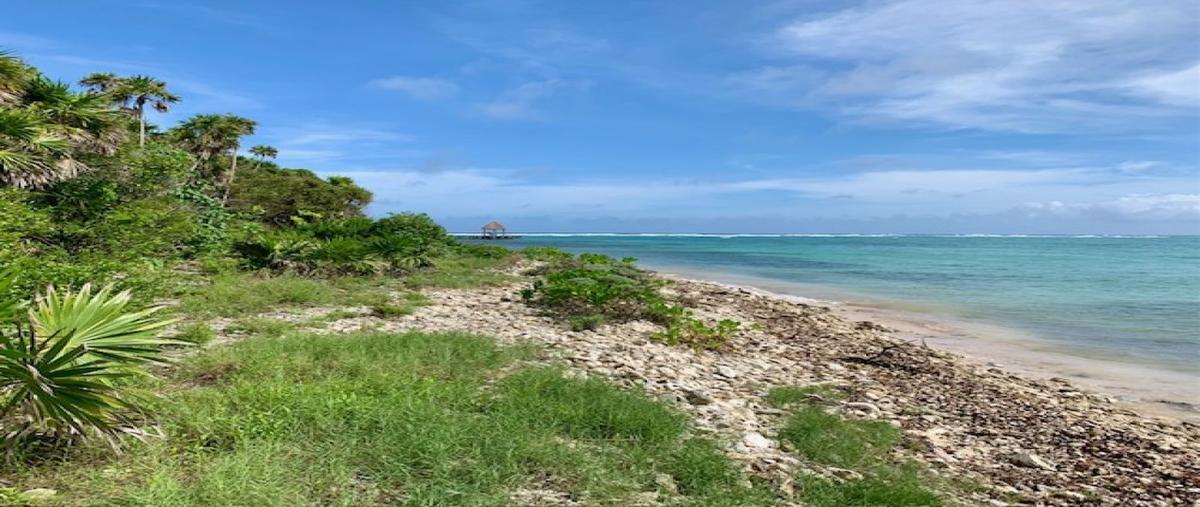 Foto de terreno habitacional en lote 2fracc 2tankah iv , tankah cuatro, tulum, quintana roo, 28608603 foto 04 Foto de terreno habitacional en venta en lote 2fracc 2tankah iv , tankah cuatro, tulum, quintana roo, 28608603 No. 04