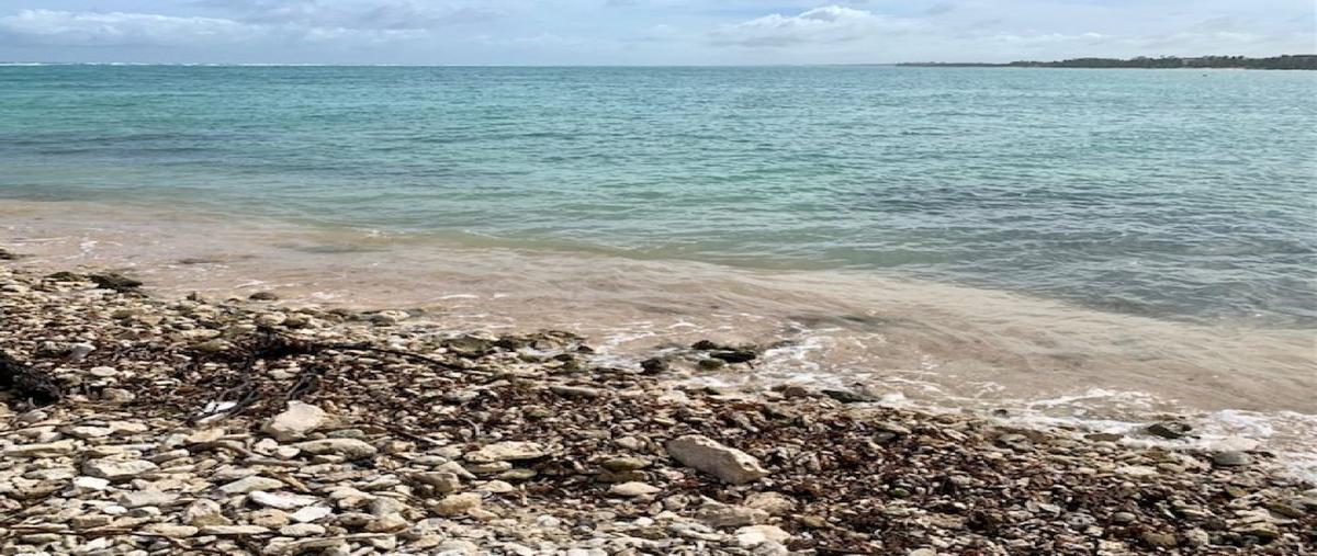 Foto de terreno habitacional en lote 2fracc 2tankah iv , tankah cuatro, tulum, quintana roo, 28608603 foto 05 Foto de terreno habitacional en venta en lote 2fracc 2tankah iv , tankah cuatro, tulum, quintana roo, 28608603 No. 05