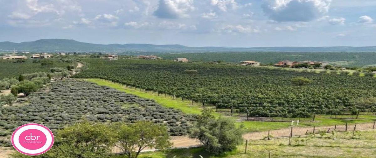 Foto de terreno habitacional en venta en lote 3, manzana 11, viñedo san miguel , san miguel de allende centro, san miguel de allende, guanajuato, 0 No. 03