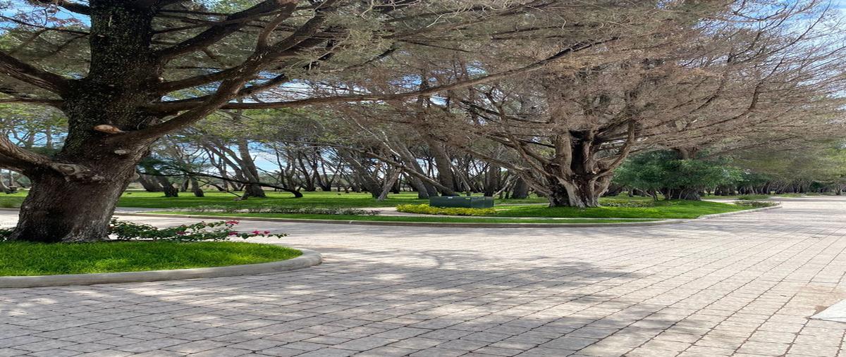 Foto de terreno habitacional en venta en lote 3 manzana 15, río laja, dolores hidalgo cuna de la independencia nacional, guanajuato, 24944106 No. 05