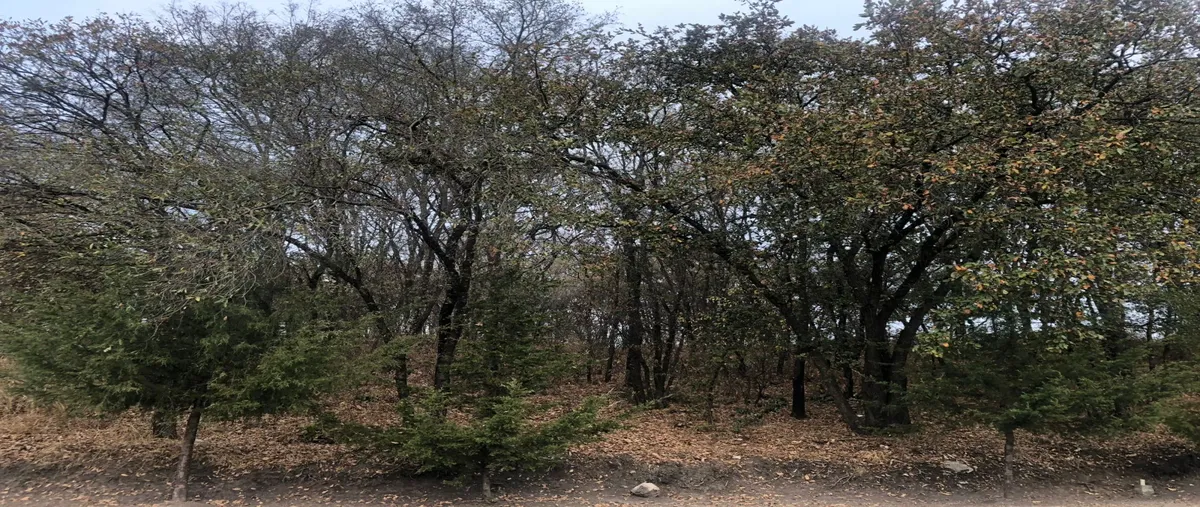 Foto de terreno habitacional en venta en lote 3 , manzana 2 , campestre haras, amozoc, puebla, 0 No. 03