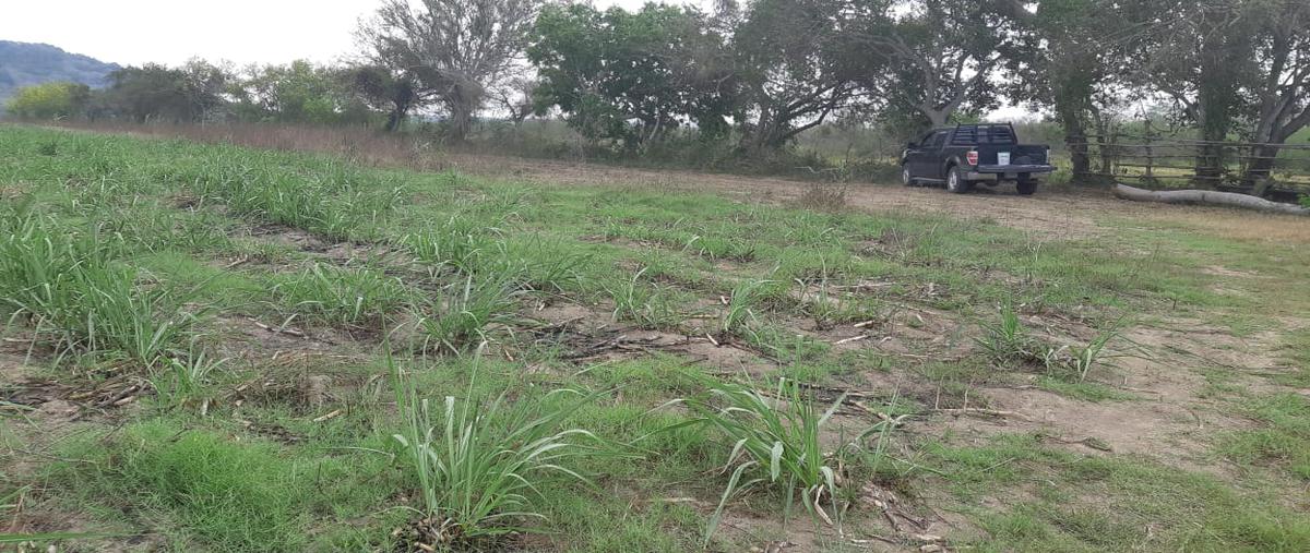 Foto de terreno comercial en venta en lote 3 topila , palacho, tampico alto, veracruz de ignacio de la llave, 0 No. 03